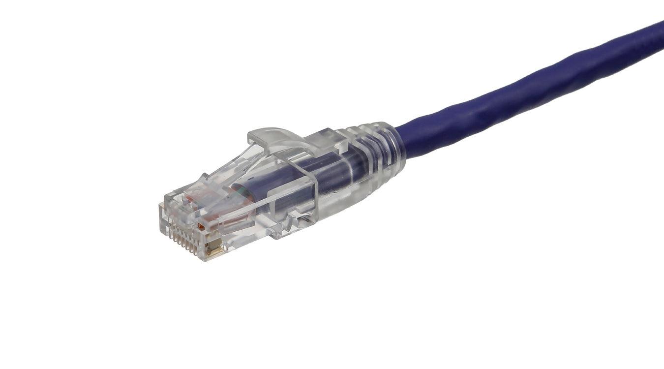 AXIOM, Axiom Axg99783 Câble réseau violet 12.19 M Cat6 U/Utp (Utp)